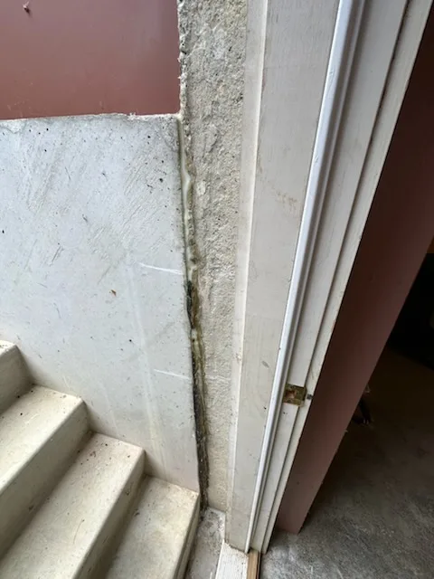 Leaking bulkhead door frame showing gap between concrete and frame in Groveland