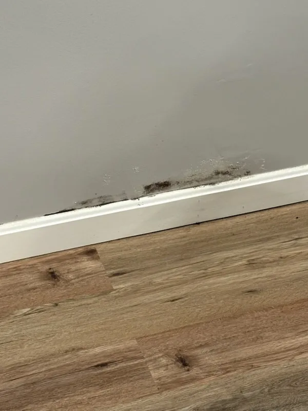 Foundation crack repair in Rhode Island